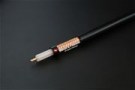 rg 213